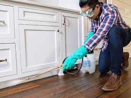 Best Pest Control for Multi-Family Homes  in Charlotte, MI